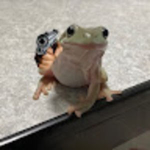 Meet your Posher, Ryleigh